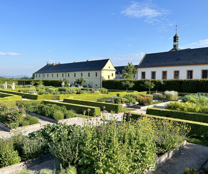 Hospitál Kuks - bylinková zahrada